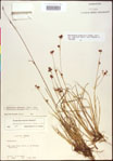 000020495-thumbnail.jpg