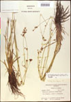 000020497-thumbnail.jpg