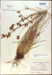 000020498-thumbnail.jpg