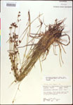 000020499-thumbnail.jpg
