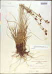 000020500-thumbnail.jpg
