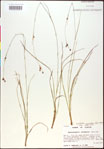 000020501-thumbnail.jpg