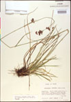 000020502-thumbnail.jpg