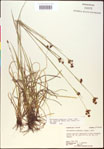 000020503-thumbnail.jpg