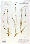 000020504-thumbnail.jpg