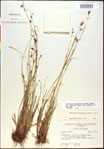 000020505-thumbnail.jpg