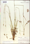 000020506-thumbnail.jpg