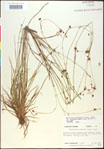 000020507-thumbnail.jpg
