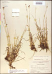 000020508-thumbnail.jpg