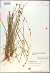 000020509-thumbnail.jpg