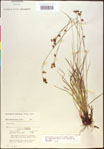 000020511-thumbnail.jpg