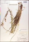 000020512-thumbnail.jpg