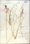 000020513-thumbnail.jpg