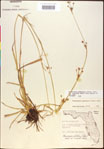 000020514-thumbnail.jpg