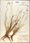 000020517-thumbnail.jpg
