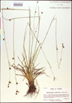 000020519-thumbnail.jpg