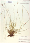000020522-thumbnail.jpg