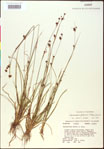000020536-thumbnail.jpg
