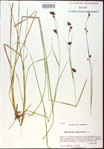 000020537-thumbnail.jpg