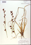 000020539-thumbnail.jpg