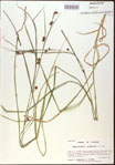 000020540-thumbnail.jpg