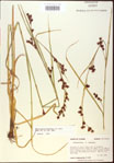 000020541-thumbnail.jpg
