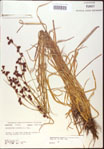 000020542-thumbnail.jpg