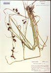 000020543-thumbnail.jpg