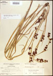 000020544-thumbnail.jpg