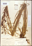 000020545-thumbnail.jpg