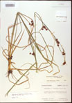000020546-thumbnail.jpg