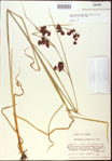 000020548-thumbnail.jpg