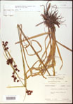 000020550-thumbnail.jpg