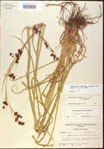 000020551-thumbnail.jpg