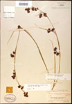 000020553-thumbnail.jpg
