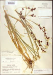 000020554-thumbnail.jpg