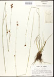 000020597-thumbnail.jpg