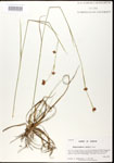 000020600-thumbnail.jpg