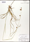 000020601-thumbnail.jpg