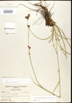 000020602-thumbnail.jpg