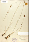 000020603-thumbnail.jpg