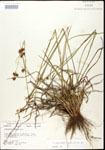 000020604-thumbnail.jpg