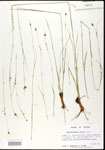 000020605-thumbnail.jpg