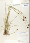 000020606-thumbnail.jpg