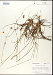 000020607-thumbnail.jpg