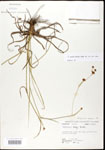 000020608-thumbnail.jpg
