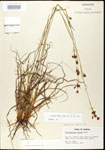 000020609-thumbnail.jpg