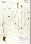 000020611-thumbnail.jpg