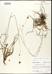 000020612-thumbnail.jpg