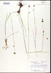 000020613-thumbnail.jpg